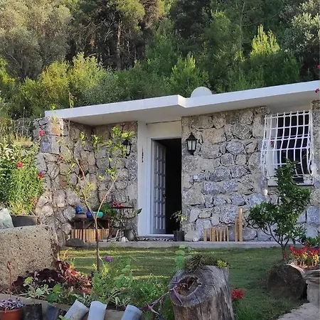 Stone House Tatil Evi
